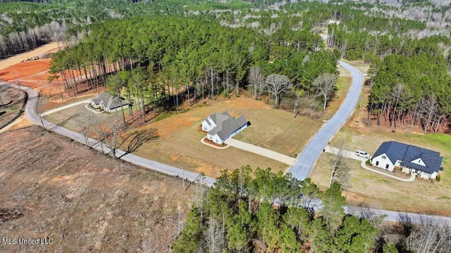 $368,000 | 119 Ashwood Lane, Mendenhall, MS 39114