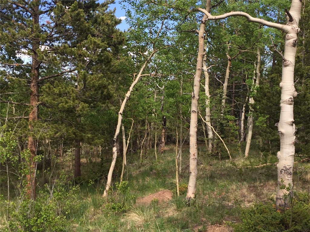 1622 High Creek Road Fairplay, CO 80440 - Photo 10 of 25 Gallery Image 10