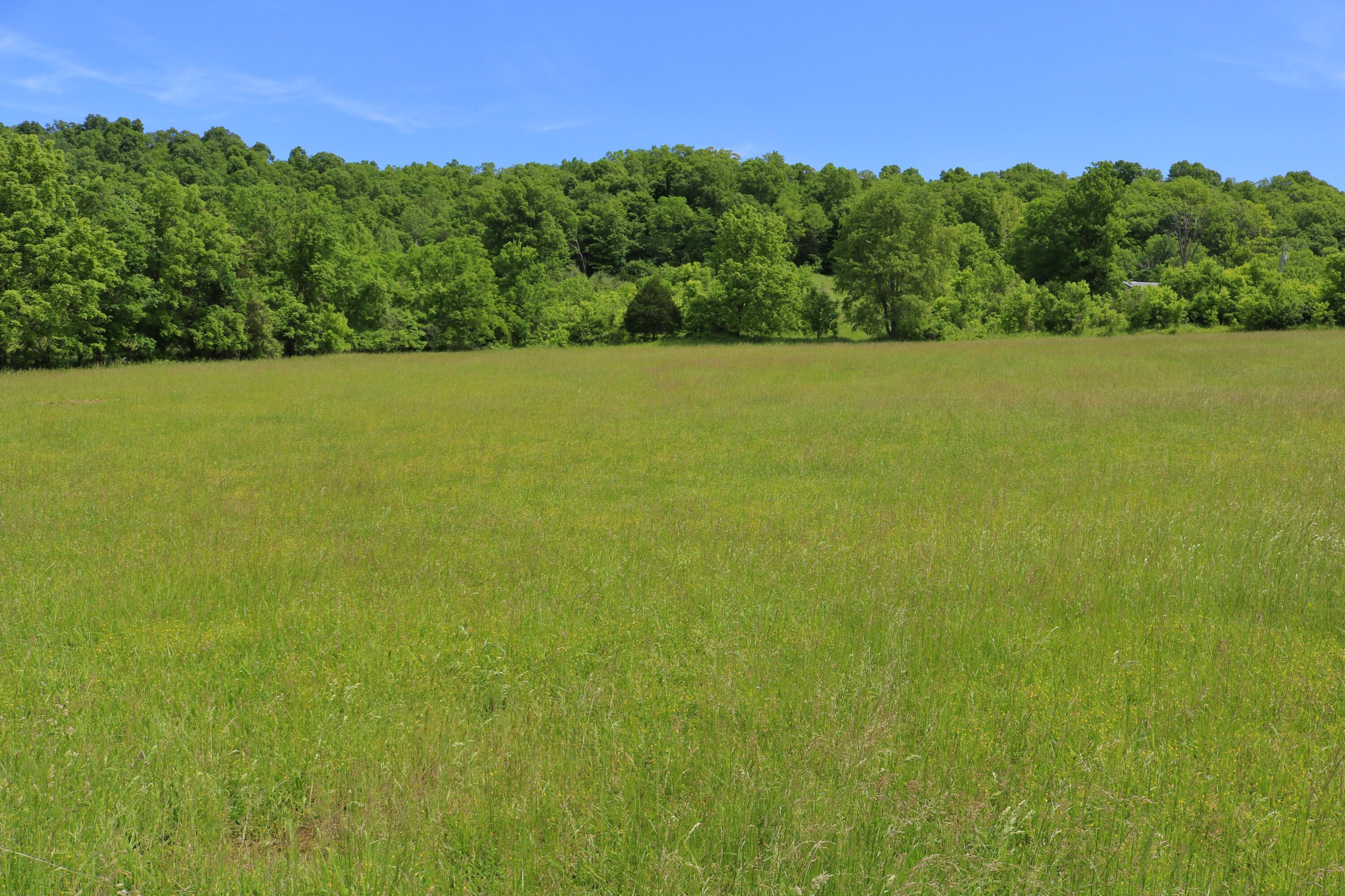 25.78 McDonald Ferry Road Frankfort, KY 40601 - Photo 9 of 14