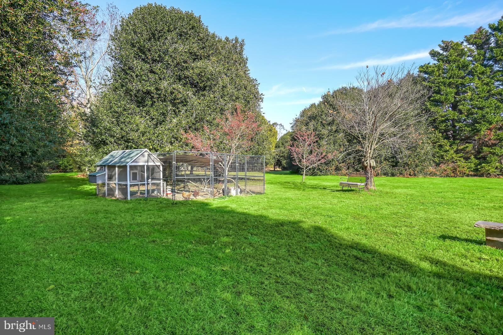 29988 Beaver Dam Road Trappe, MD 21673 - Photo 4 of 38 Gallery Image 4