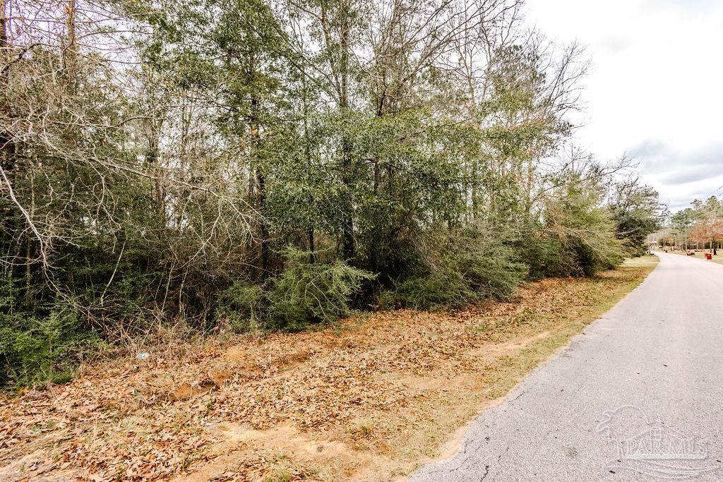 2388 Wallace Lake Road Pace, FL 32571 - Photo 1 of 14