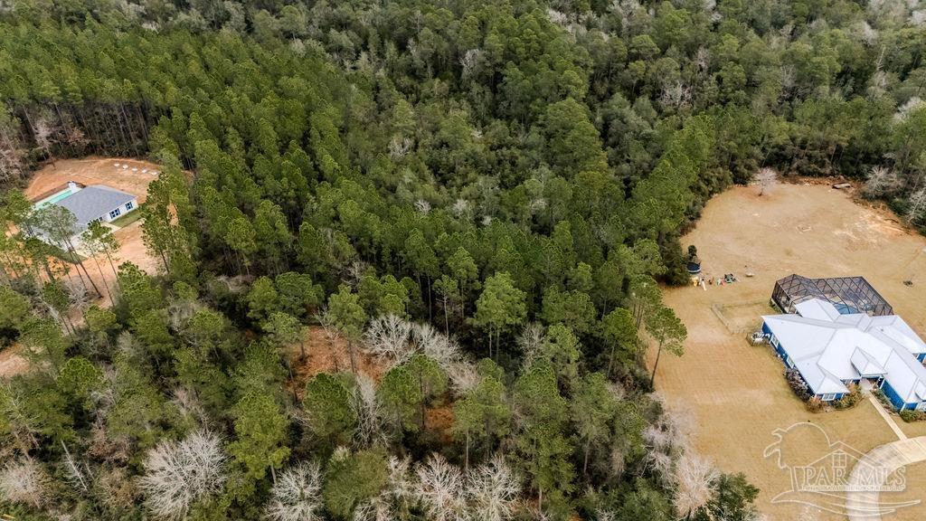 2388 Wallace Lake Road Pace, FL 32571 - Photo 11 of 14