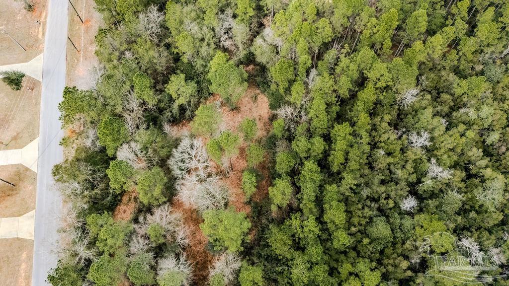 2388 Wallace Lake Road Pace, FL 32571 - Photo 12 of 14