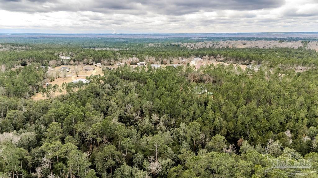 2388 Wallace Lake Road Pace, FL 32571 - Photo 13 of 14