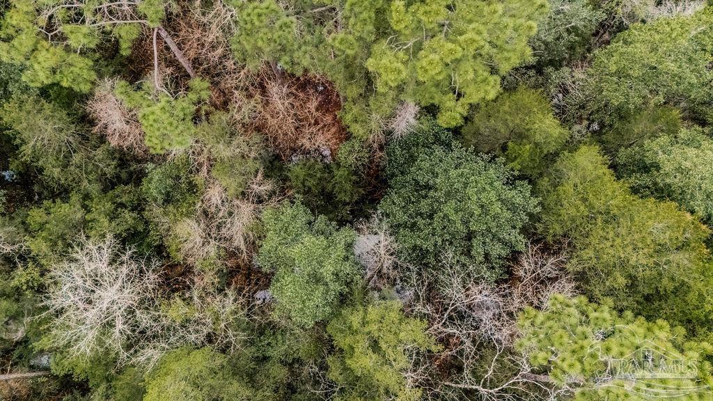 2388 Wallace Lake Road Pace, FL 32571 - Photo 3 of 14