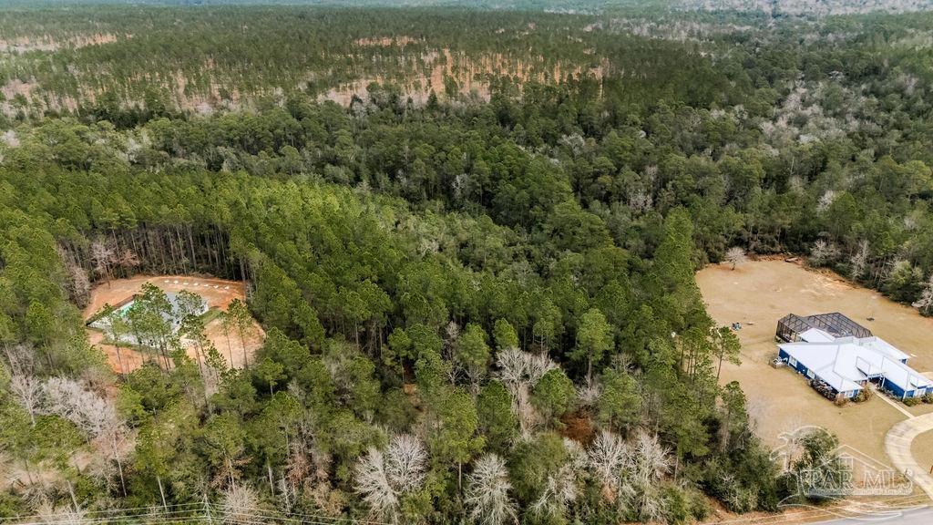 2388 Wallace Lake Road Pace, FL 32571 - Photo 4 of 14