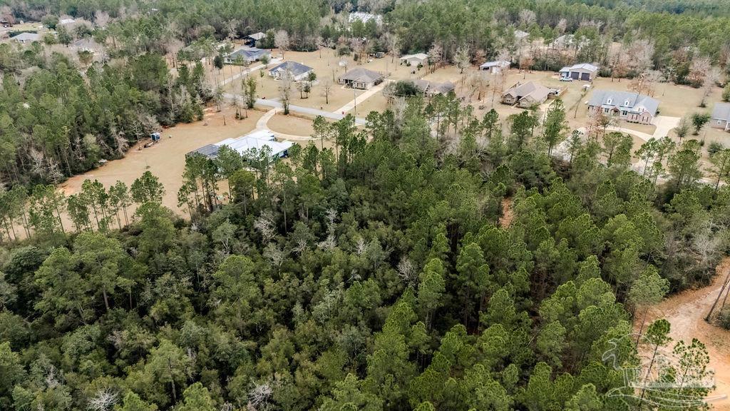 2388 Wallace Lake Road Pace, FL 32571 - Photo 6 of 14