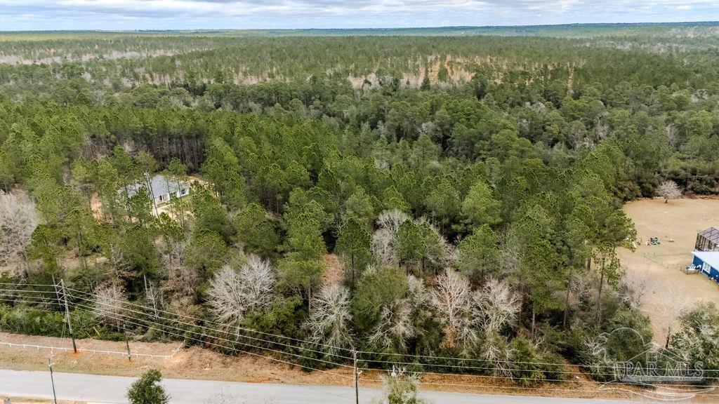 2388 Wallace Lake Road Pace, FL 32571 - Photo 9 of 14