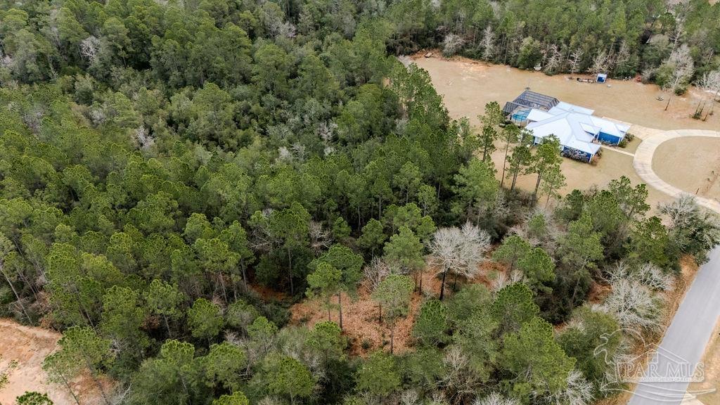 2388 Wallace Lake Road Pace, FL 32571 - Photo 10 of 14