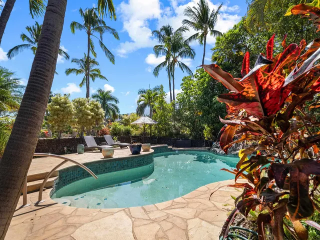 a view of backyard of a house and palm tree