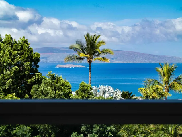 a view of a garden with a flower in a garden