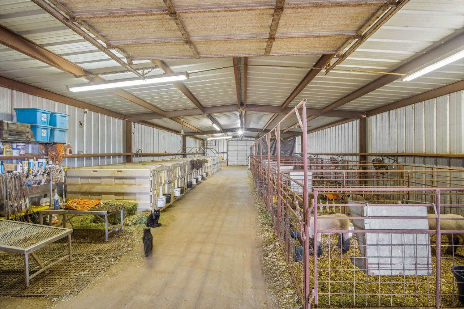 6487 East Fm 41 Ropesville, TX 79358 - Photo 31 of 33 a view of a room with racks