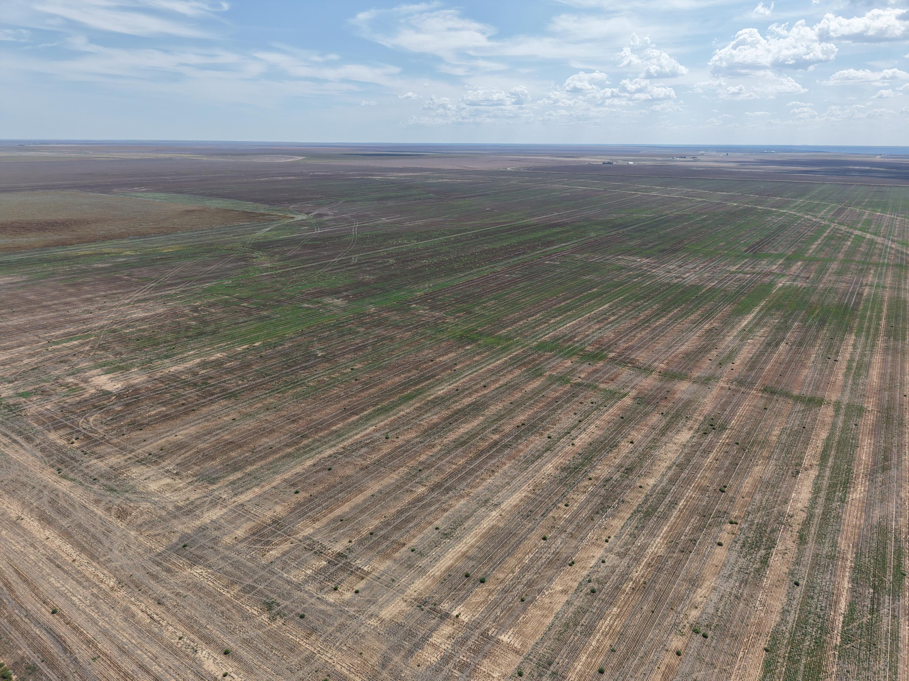 51 North Ac Tract 33 Pullman Road Amarillo, TX 79118 - Photo 2 of 6 DJI_20250919134315_0061_D
