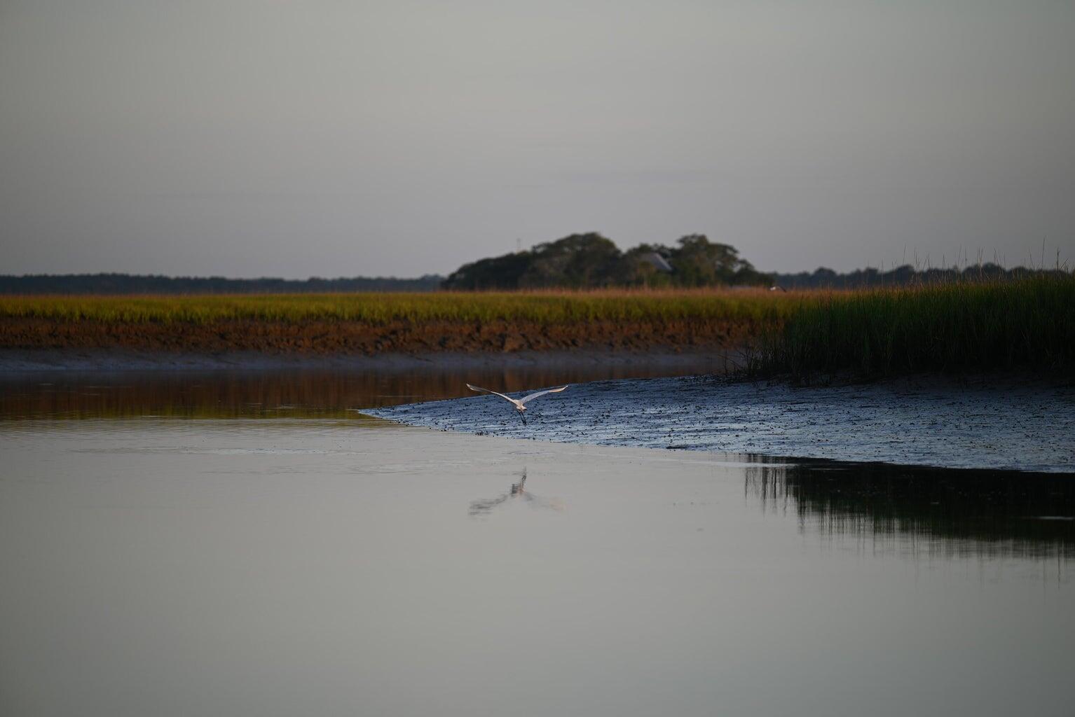 0 Cole Island Charleston, SC 29412 - Photo 4 of 9 20260511201456357201000000-o