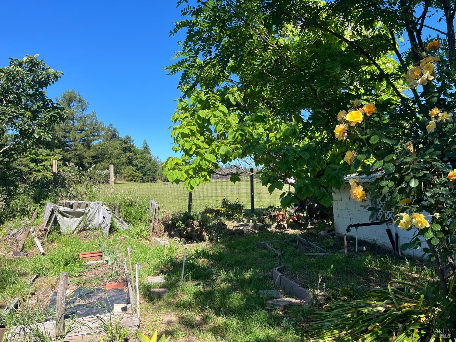 20 Eucalyptus Road, Unit A Petaluma, CA 94952 - Photo 28 of 30