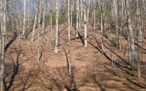 5-acr Sanders Road Hiawassee, GA 30546 - Photo 1 of 1 Main View