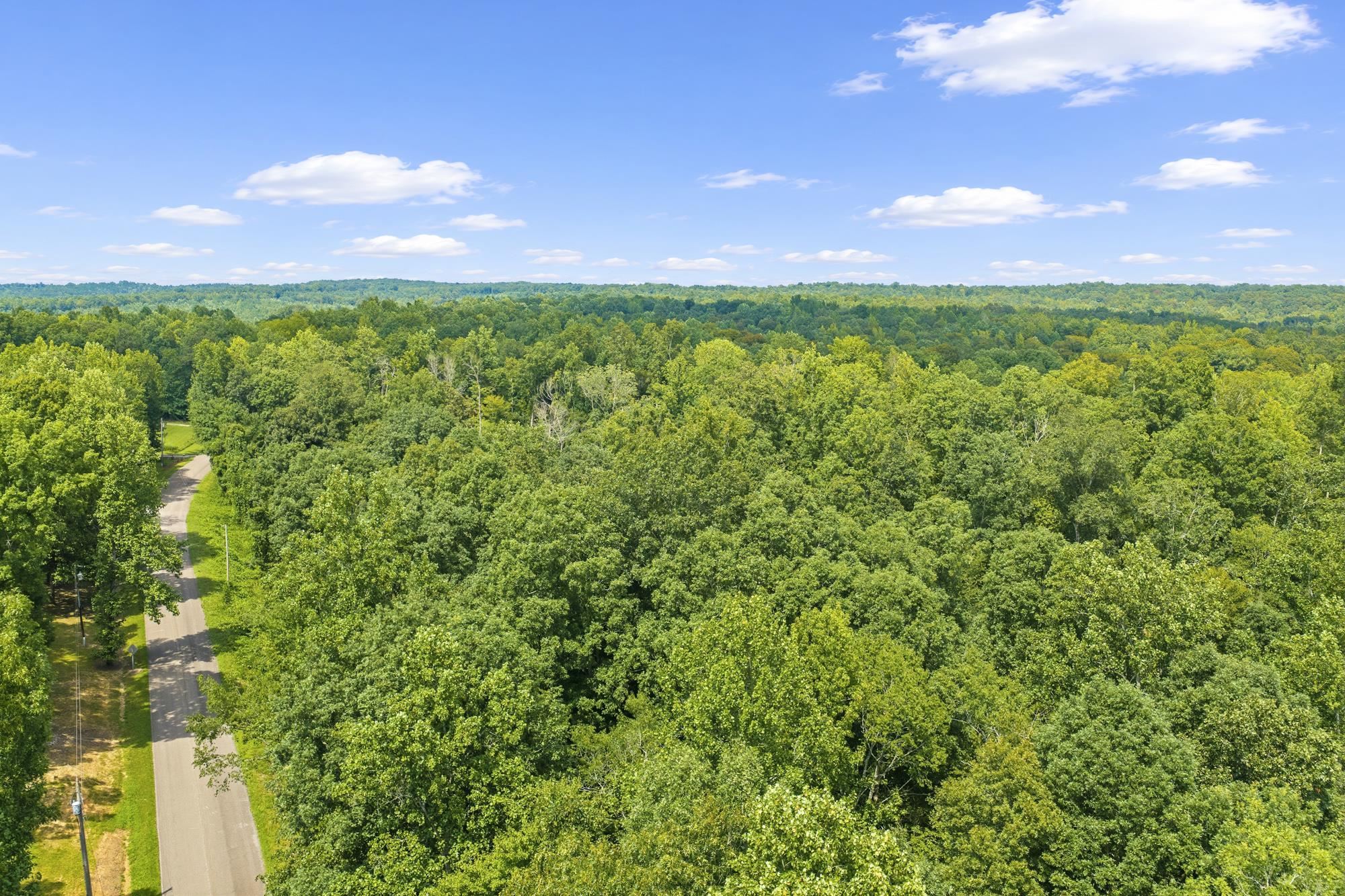 0 Holladay Road Holladay, TN 38341 - Photo 1 of 25 Gallery Image 1