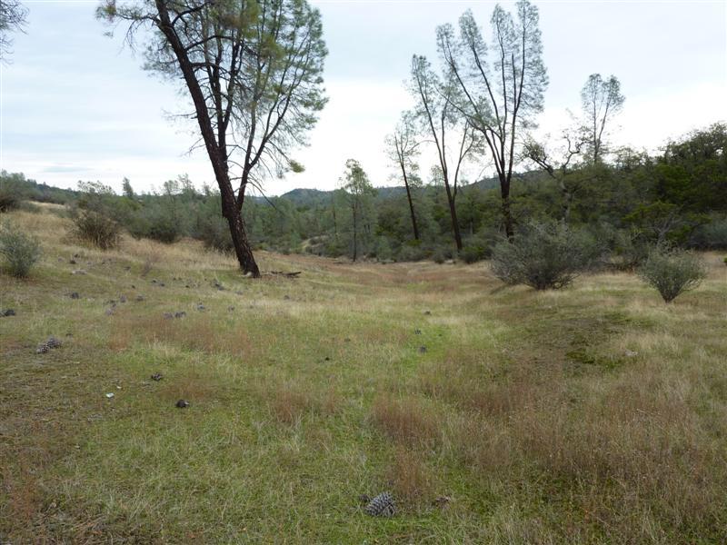 Lot 121 Platina Road Igo, CA 96047 - Photo 1 of 23 Property 1