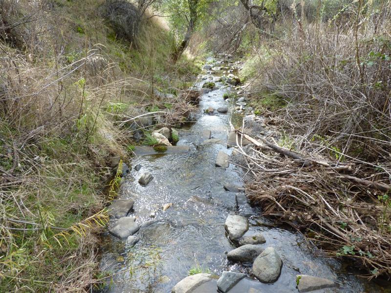 Lot 121 Platina Road Igo, CA 96047 - Photo 17 of 23 Wilson Creek 1