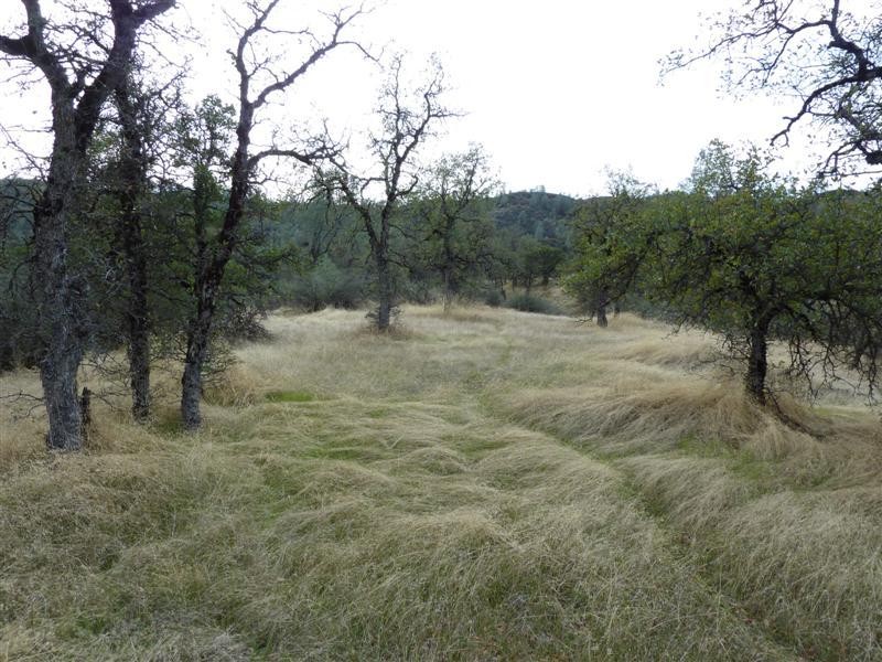 Lot 121 Platina Road Igo, CA 96047 - Photo 4 of 23 4