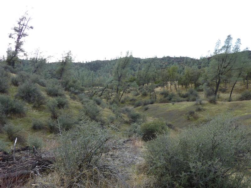 Lot 121 Platina Road Igo, CA 96047 - Photo 6 of 23 6