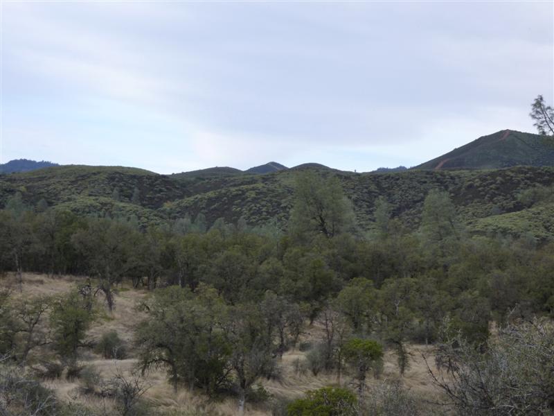 Lot 121 Platina Road Igo, CA 96047 - Photo 8 of 23 8