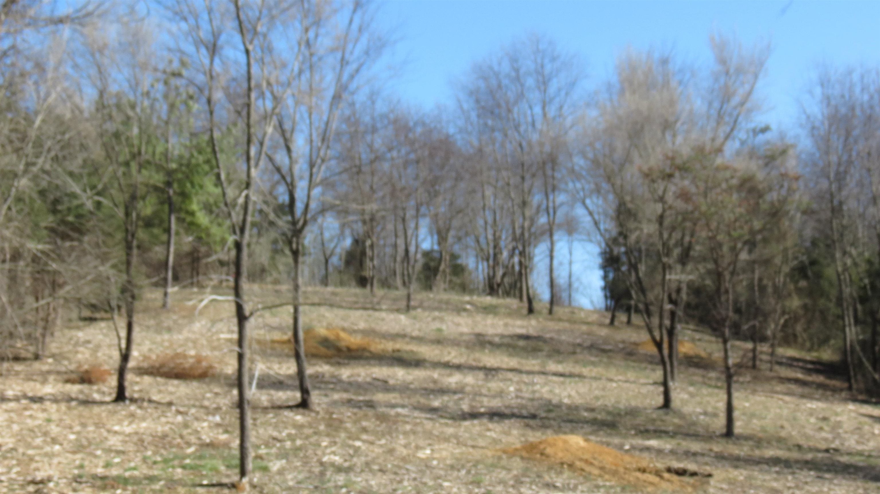 Lot 11 Berry Farm Road Staunton, VA 24401 - Photo 20 of 24 Gallery Image 20