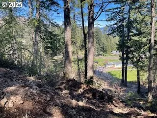 a view of a garden with large trees