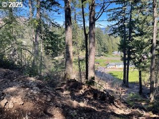 62 Wallace Creek Road Carson, WA 98610 - Photo 11 of 19 a view of a garden with large trees
