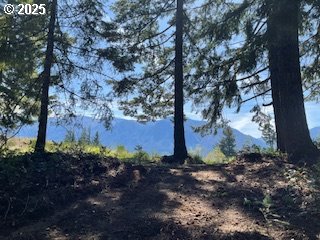 62 Wallace Creek Road Carson, WA 98610 - Photo 12 of 19 a view of a yard