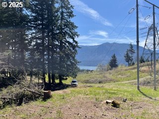 62 Wallace Creek Road Carson, WA 98610 - Photo 13 of 19 a view of a yard with yellow lighting