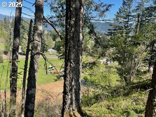 62 Wallace Creek Road Carson, WA 98610 - Photo 15 of 19 a view of a yard