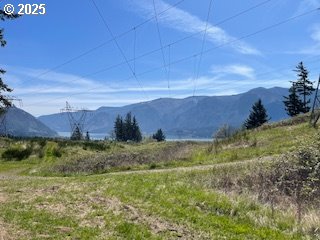 62 Wallace Creek Road Carson, WA 98610 - Photo 16 of 19 a view of a yard