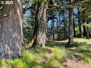 62 Wallace Creek Road Carson, WA 98610 - Photo 17 of 19 a view of swimming pool with a yard