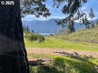62 Wallace Creek Road Carson, WA 98610 - Photo 18 of 19 a view of a yard