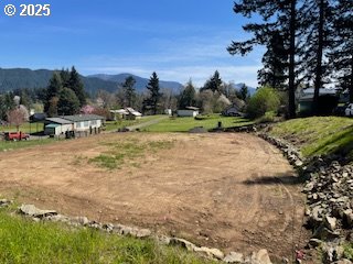 62 Wallace Creek Road Carson, WA 98610 - Photo 2 of 19 a view of a town with trees