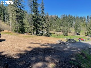 62 Wallace Creek Road Carson, WA 98610 - Photo 3 of 19 a view of dirt yard with a large tree