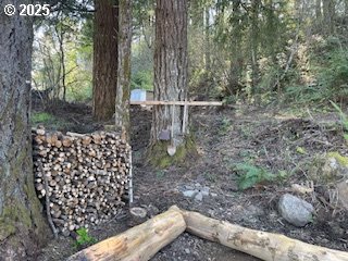 62 Wallace Creek Road Carson, WA 98610 - Photo 4 of 19 a view of a yard with iron fence