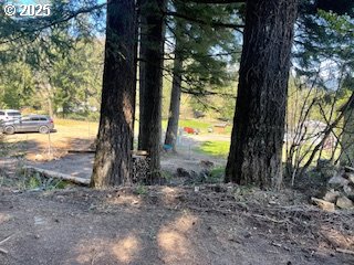 62 Wallace Creek Road Carson, WA 98610 - Photo 5 of 19 a view of a backyard