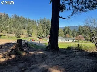 a view of a park with large trees