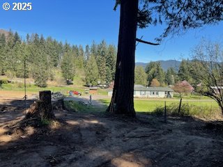 62 Wallace Creek Road Carson, WA 98610 - Photo 6 of 19 a view of a park with large trees