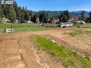 62 Wallace Creek Road Carson, WA 98610 - Photo 8 of 19 a view of a park with large trees