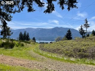62 Wallace Creek Road Carson, WA 98610 - Photo 10 of 19 a view of a garden