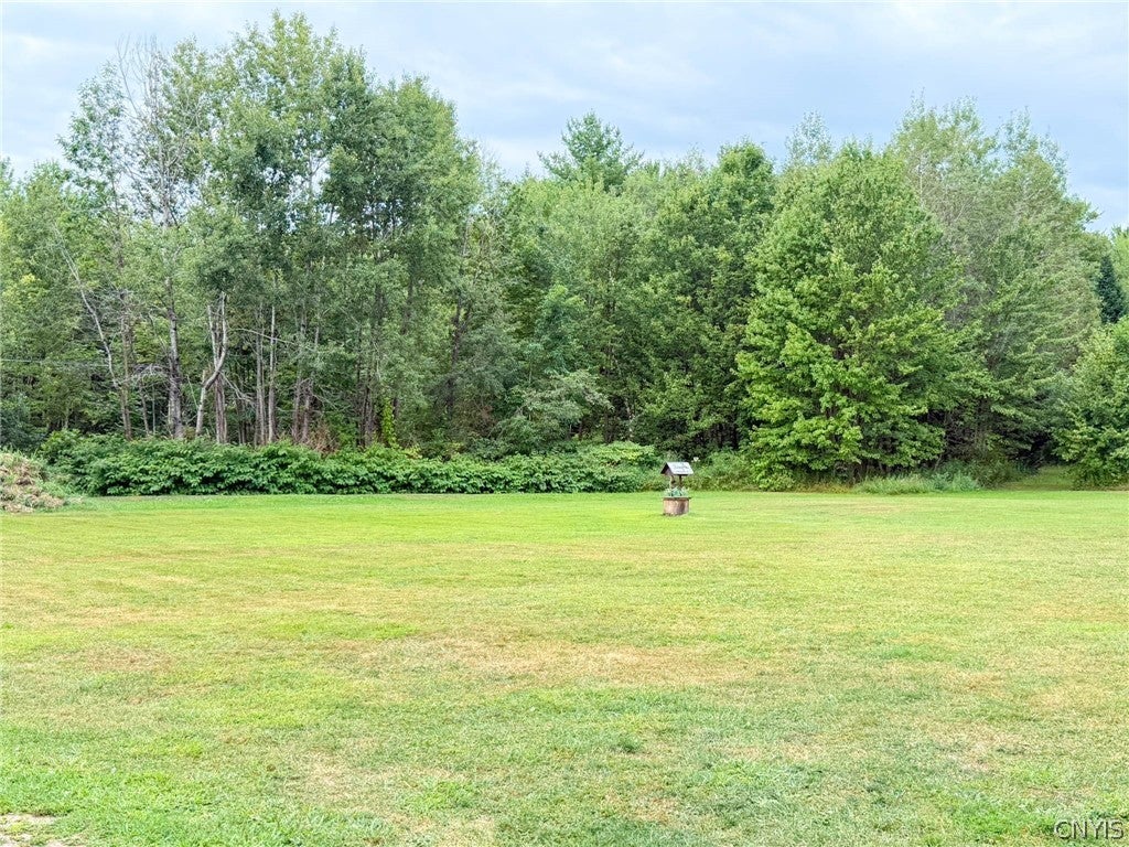2503 Eckel Road Blossvale, NY 13308 - Photo 45 of 49 Gallery Image 45