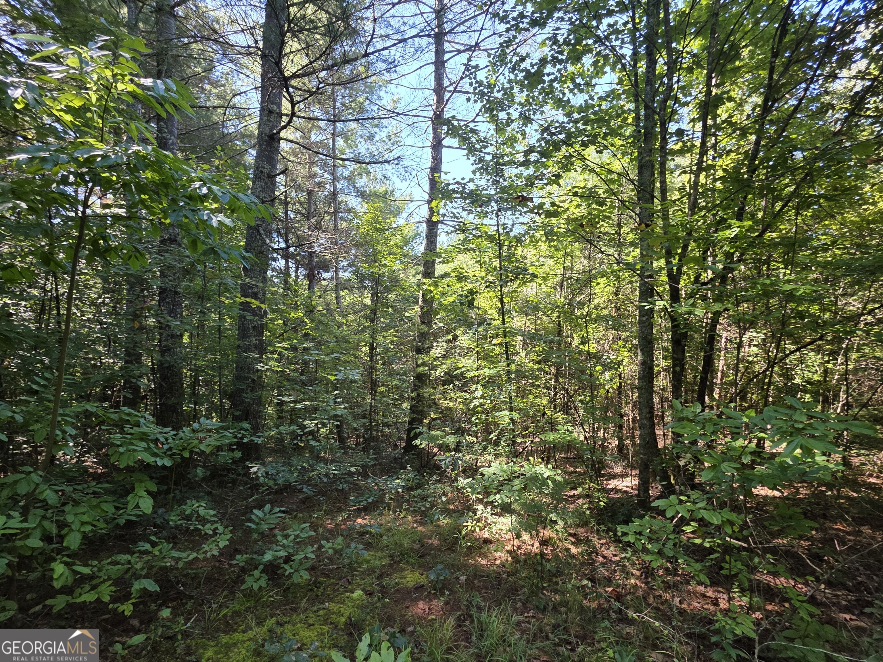 34.98 Hall Road Turtletown, TN 37391 - Photo 29 of 47 Gallery Image 29