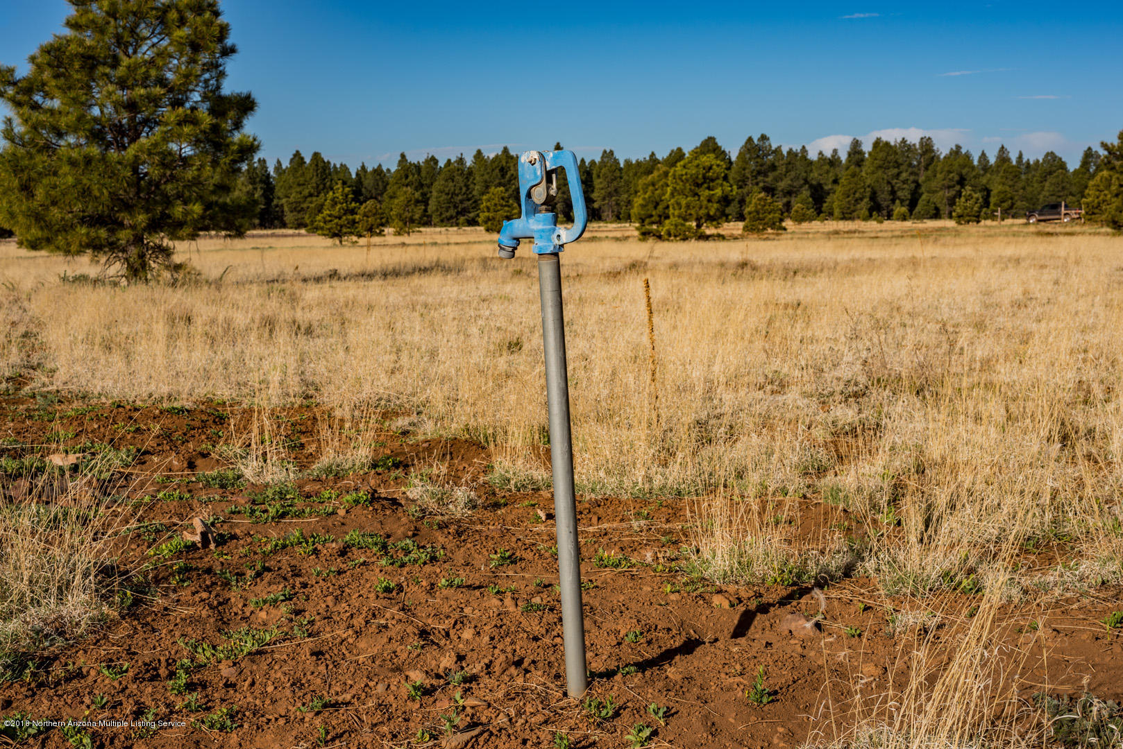 6313 Thomas Loop Road Parks, AZ 86005 - Photo 11 of 23 _DSC0302