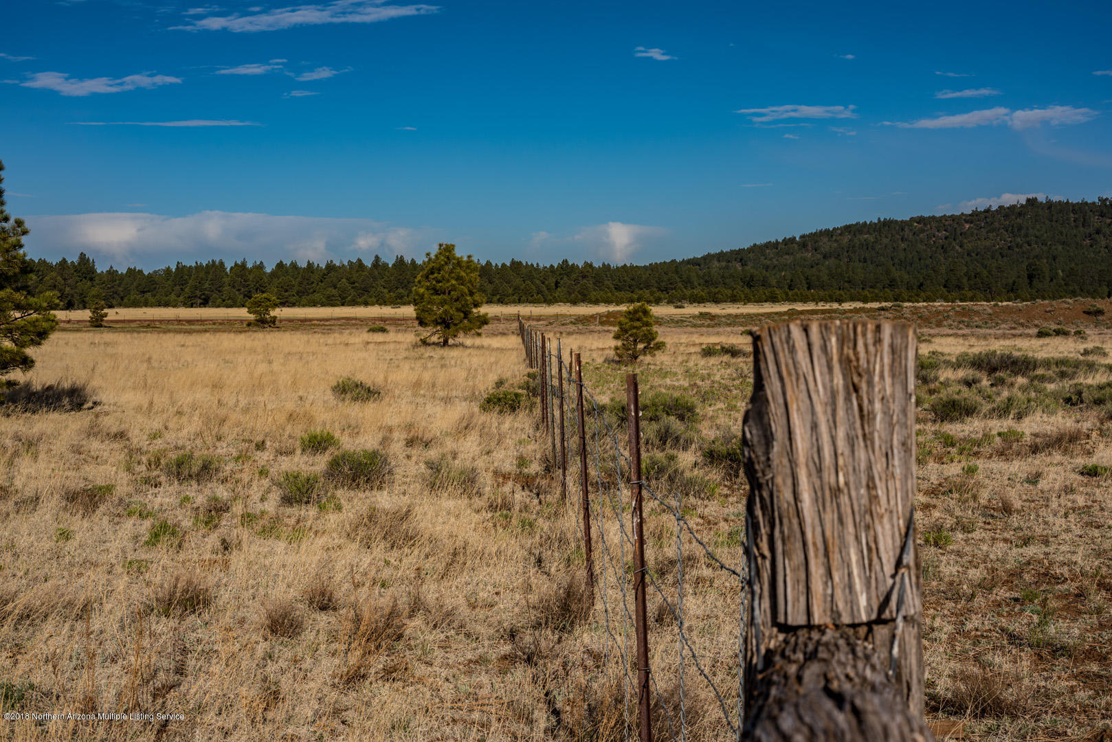 6313 Thomas Loop Road Parks, AZ 86005 - Photo 16 of 23 _DSC0313