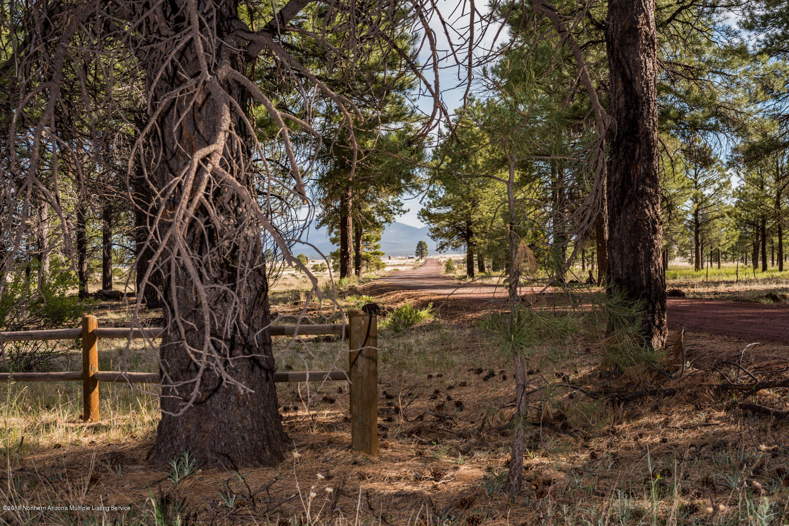 6313 Thomas Loop Road Parks, AZ 86005 - Photo 21 of 23 _DSC0335