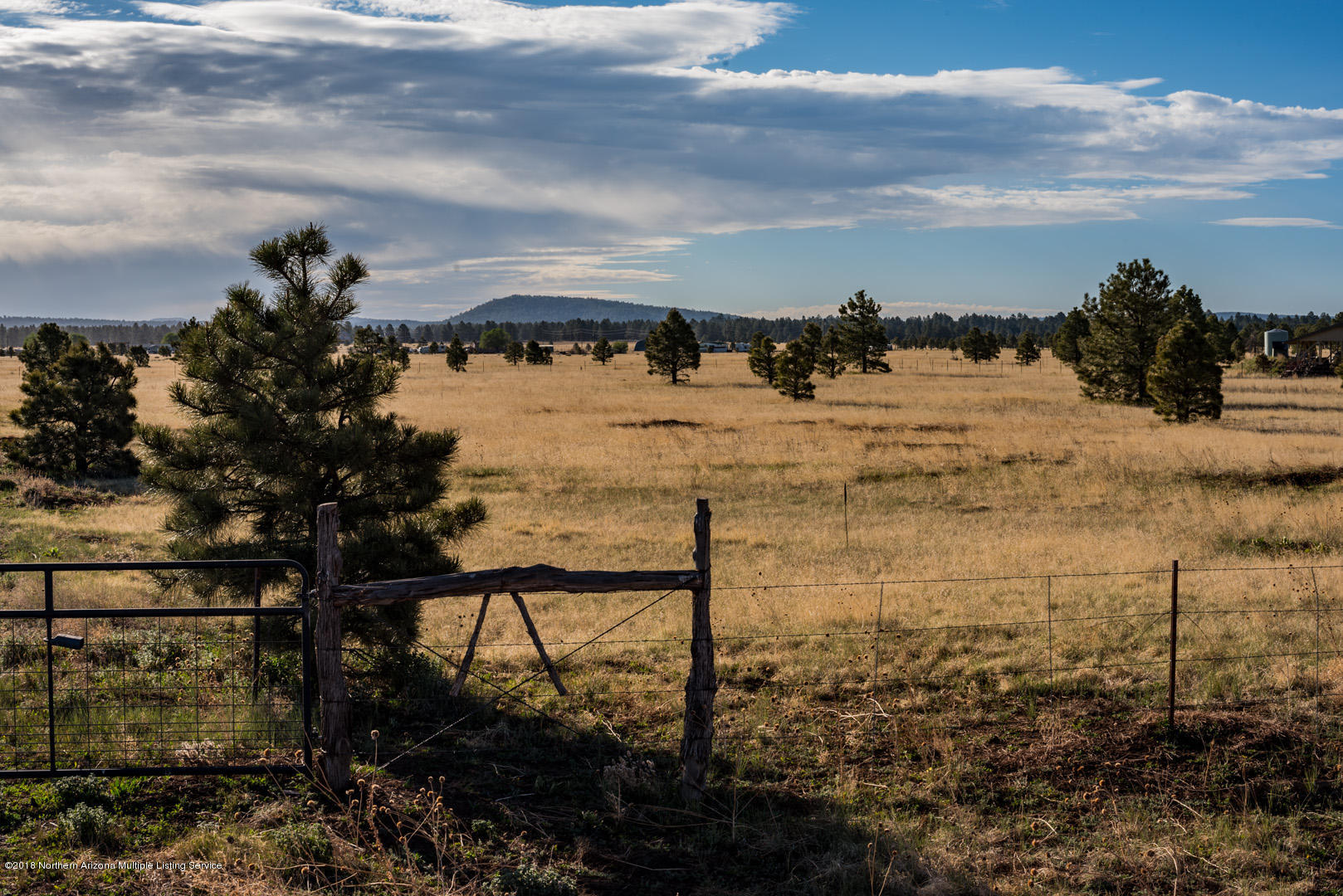 6313 Thomas Loop Road Parks, AZ 86005 - Photo 4 of 23 _DSC0294