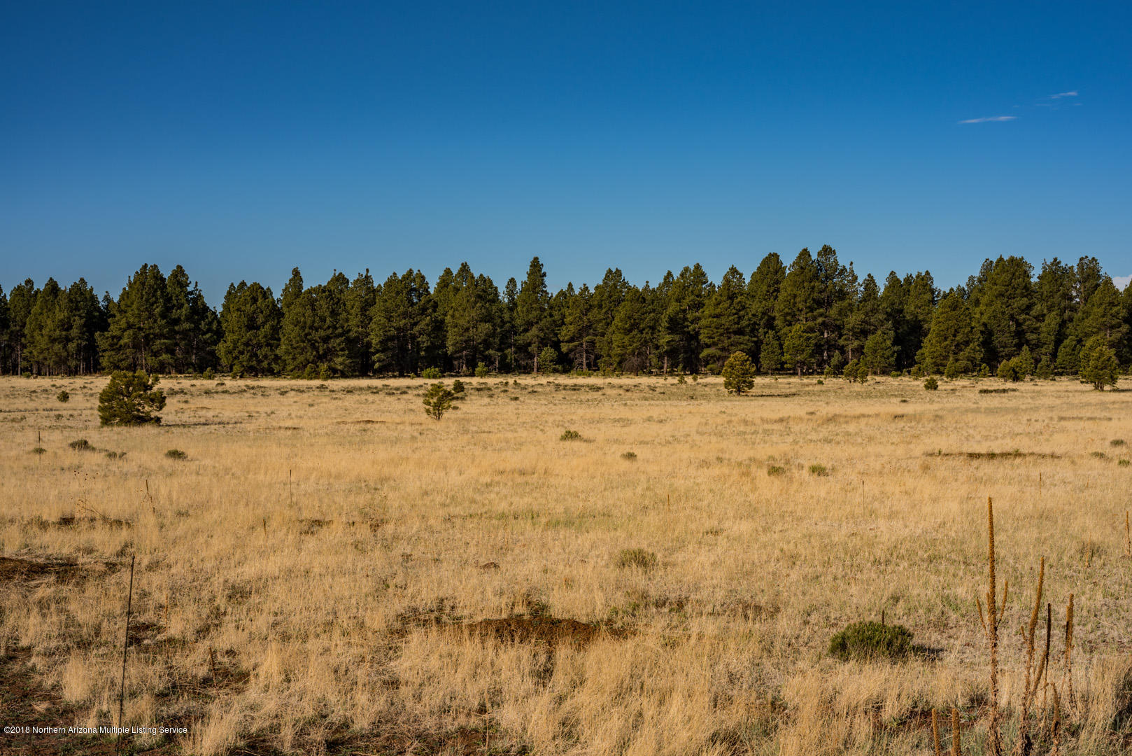 6313 Thomas Loop Road Parks, AZ 86005 - Photo 7 of 23 _DSC0297